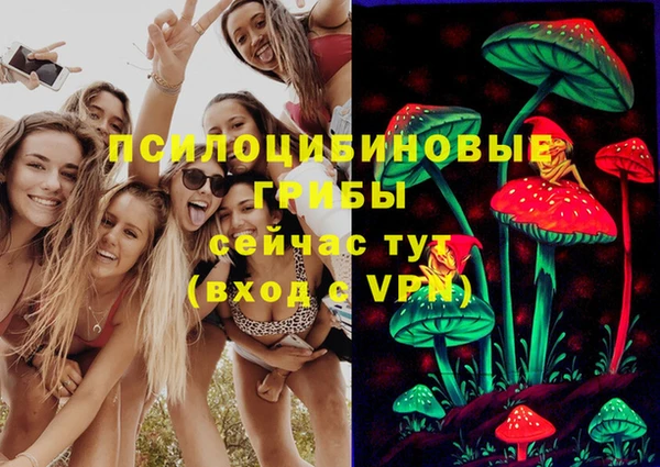 первитин Балахна
